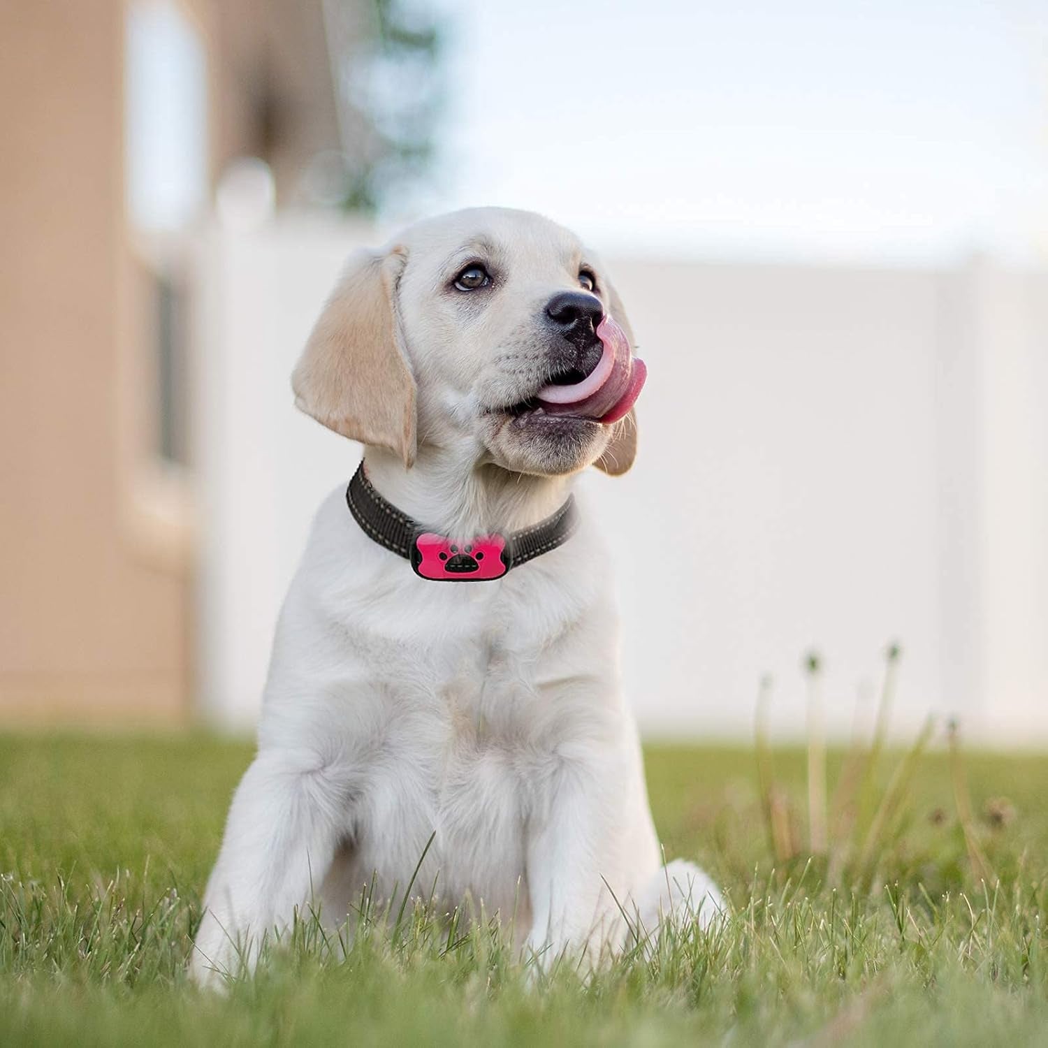 Dog Bark Collar, Bark Collar for Medium Dogs Rechargeable anti Barking Collar No Bark Collars for Dogs Humane No Shock Barking Collar Vibration Beep No Barking Collar (Pink)