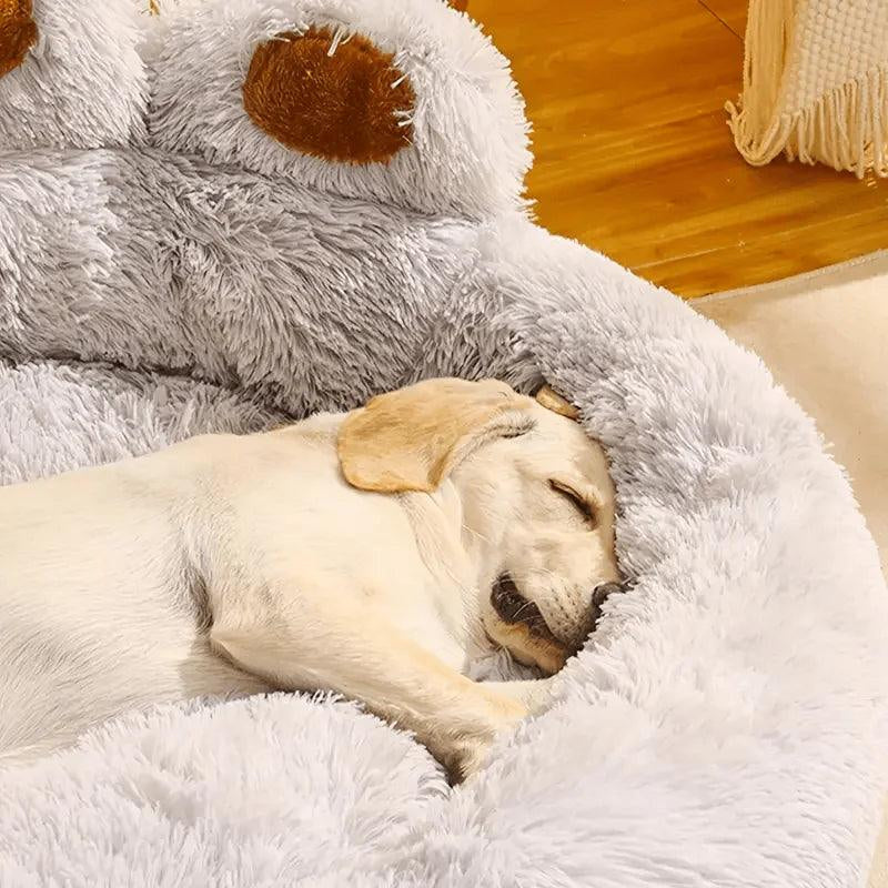 Luxury Paw Shape Dog Bed: All Seasons Comfort