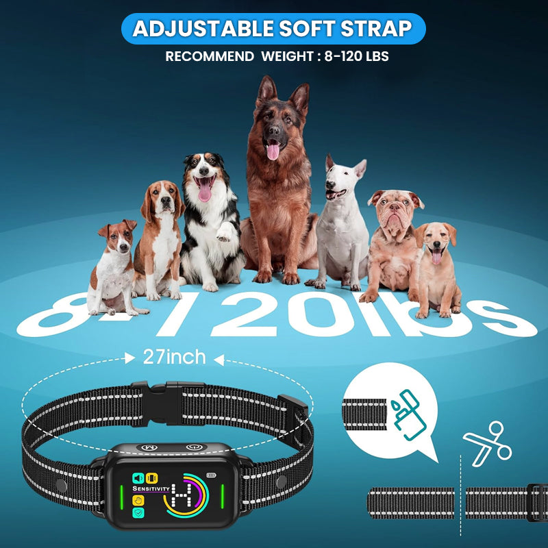 Dog Shock Collar

