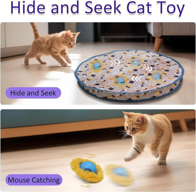 Interactive Cat Toys Ball Fast Rolling in Pouch, Motion Activate Chirping Cat Toy Hide and Seek Mouse Catching Game